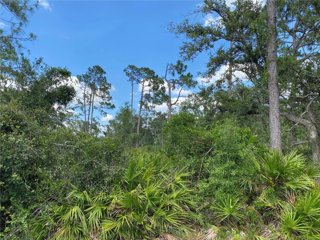 1210 Tyrone Street Port Charlotte FL 33952 A4572028 image1