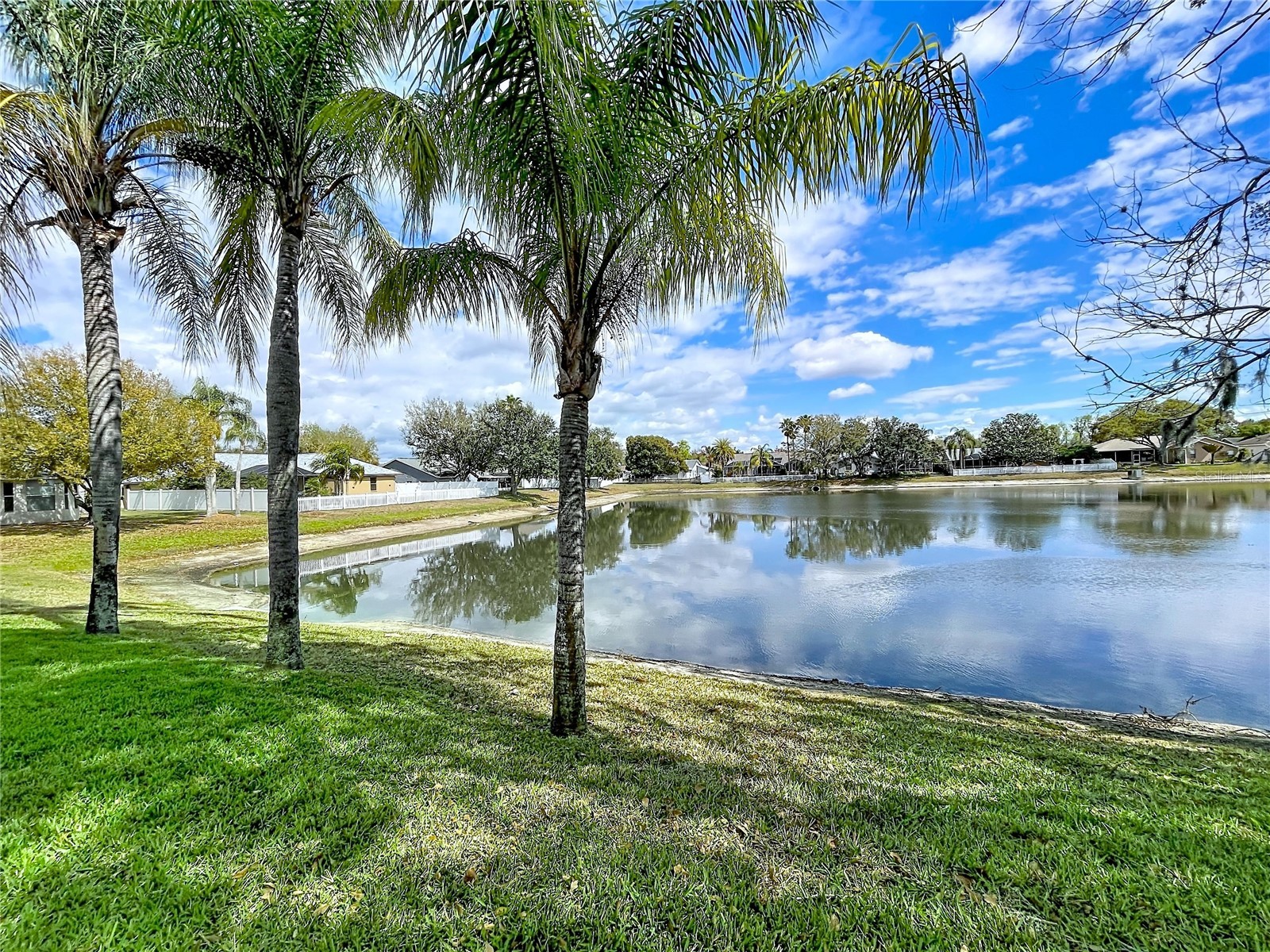 1210 Willow Bend Way Lutz FL 33549 - TRANQUIL POND TB8478677 image3