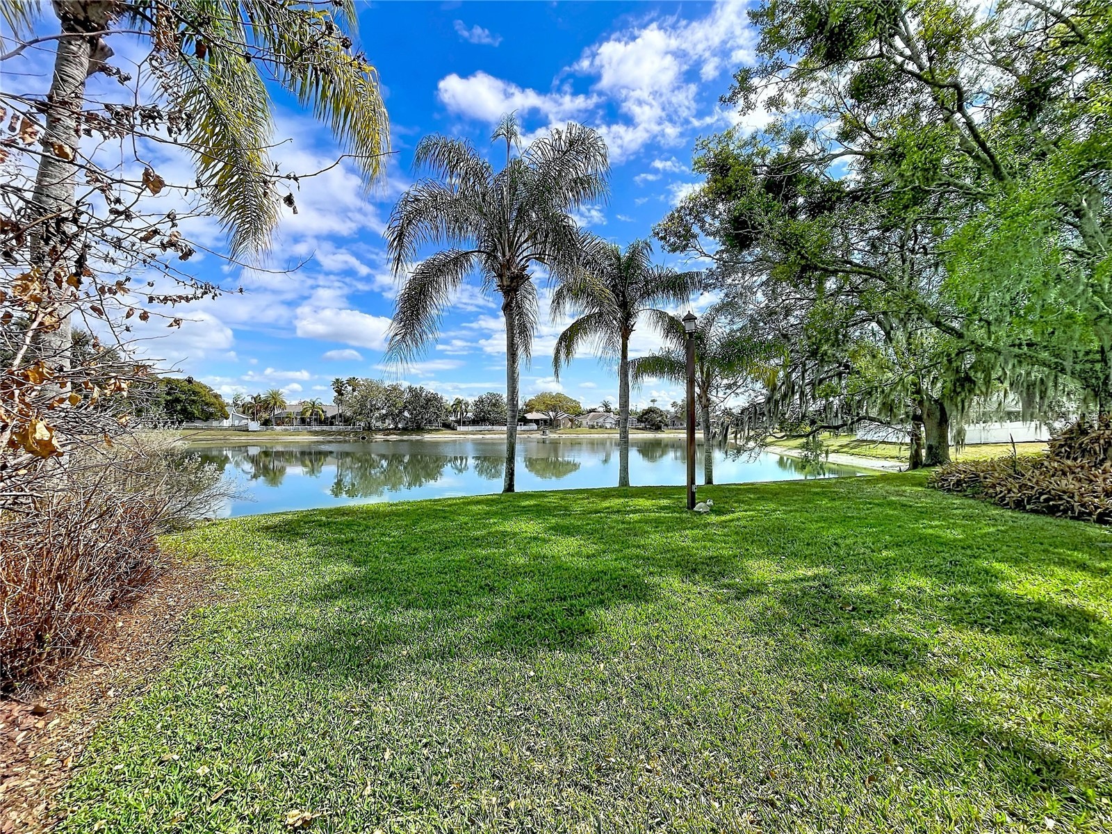 1210 Willow Bend Way Lutz FL 33549 - TRANQUIL POND TB8478677 image4