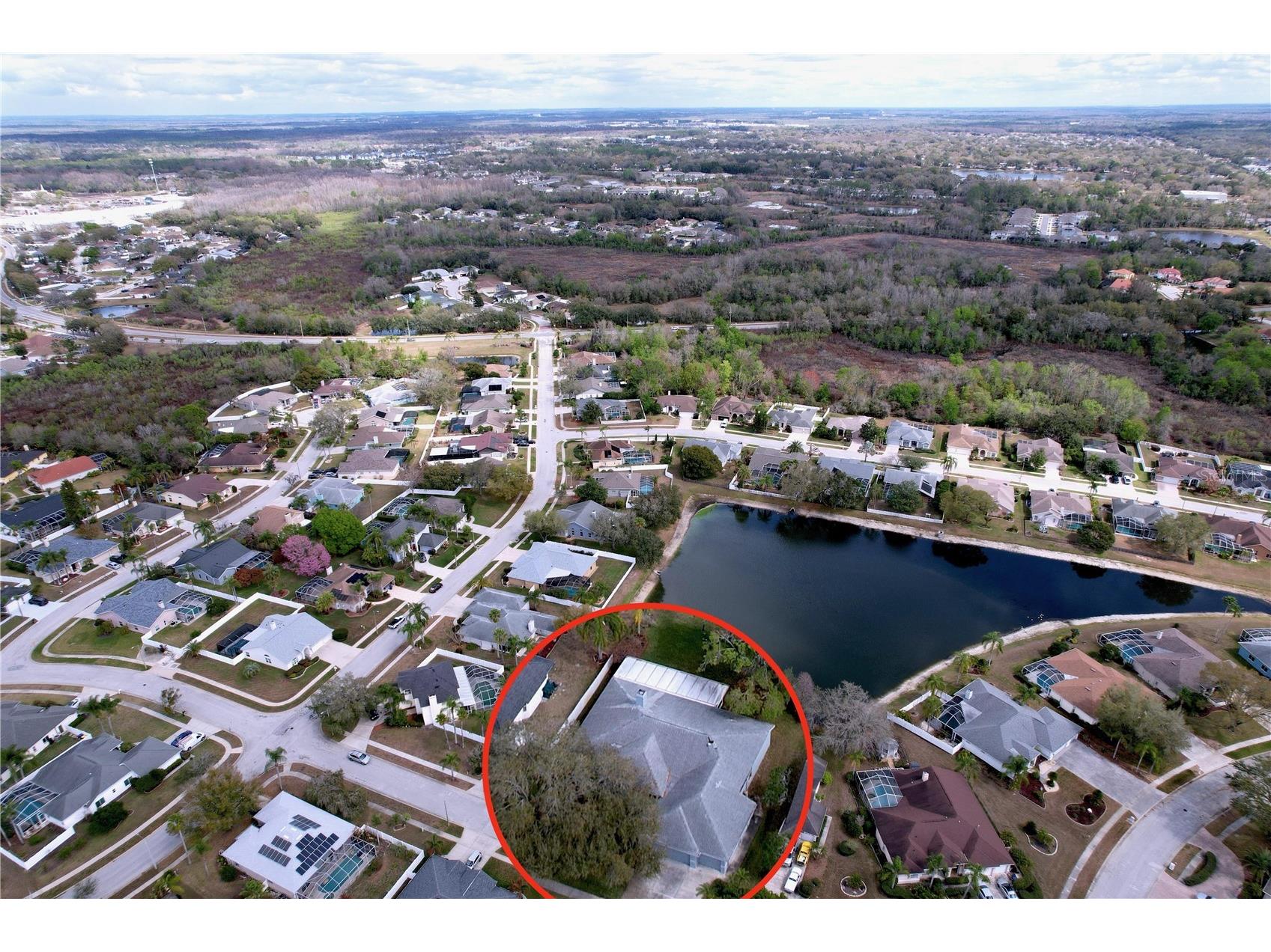 1210 Willow Bend Way Lutz FL 33549 - TRANQUIL POND TB8478677 image7