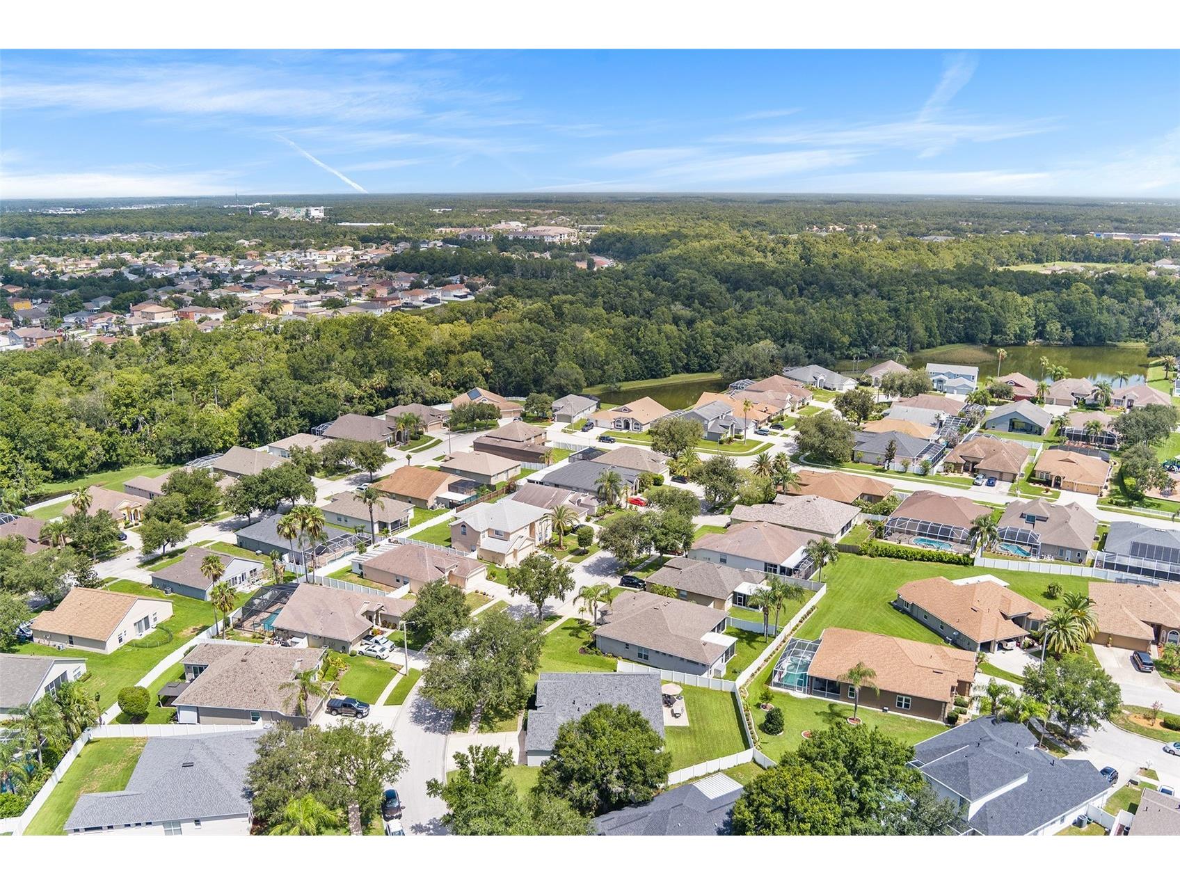 1210 Yardley Drive Wesley Chapel FL 33544 P4939311 image43