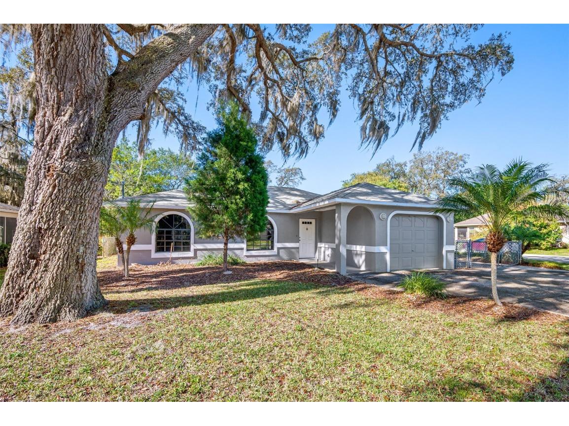 12100 Lacey Drive New Port Richey FL 34654 T3363075 image1
