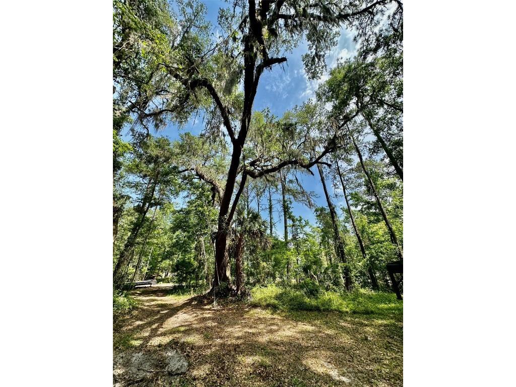 12100 NW Us Highway 441 Gainesville FL 32653 GC530646 image38