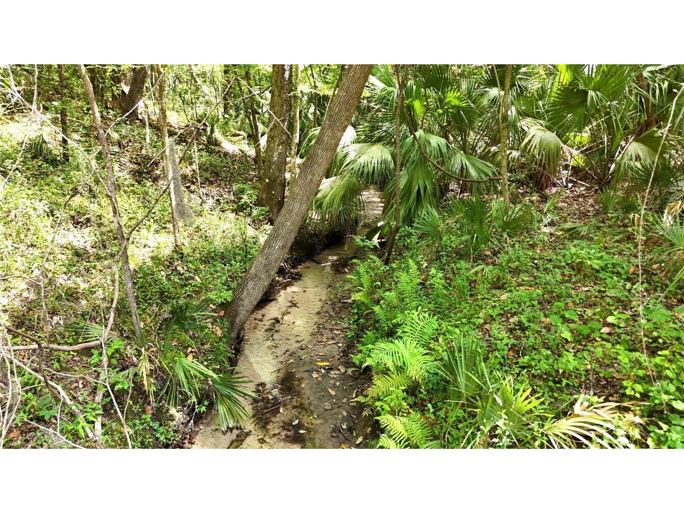 12100 NW Us Highway 441 Gainesville FL 32653 GC530646 image39