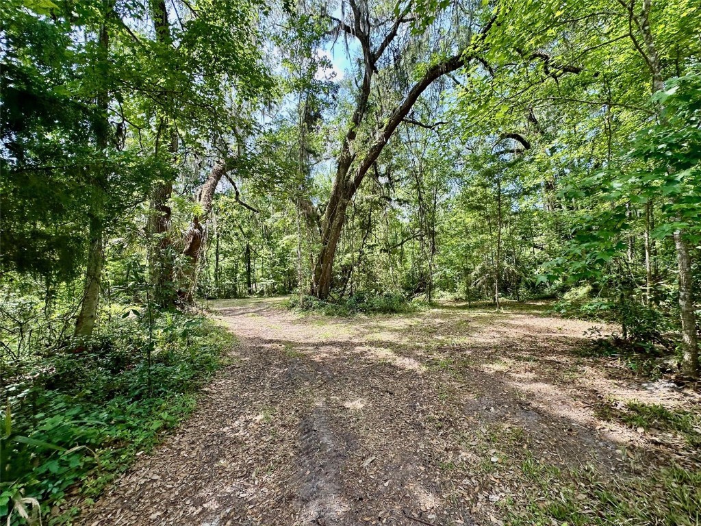 12100 NW Us Highway 441 Gainesville FL 32653 GC530646 image41