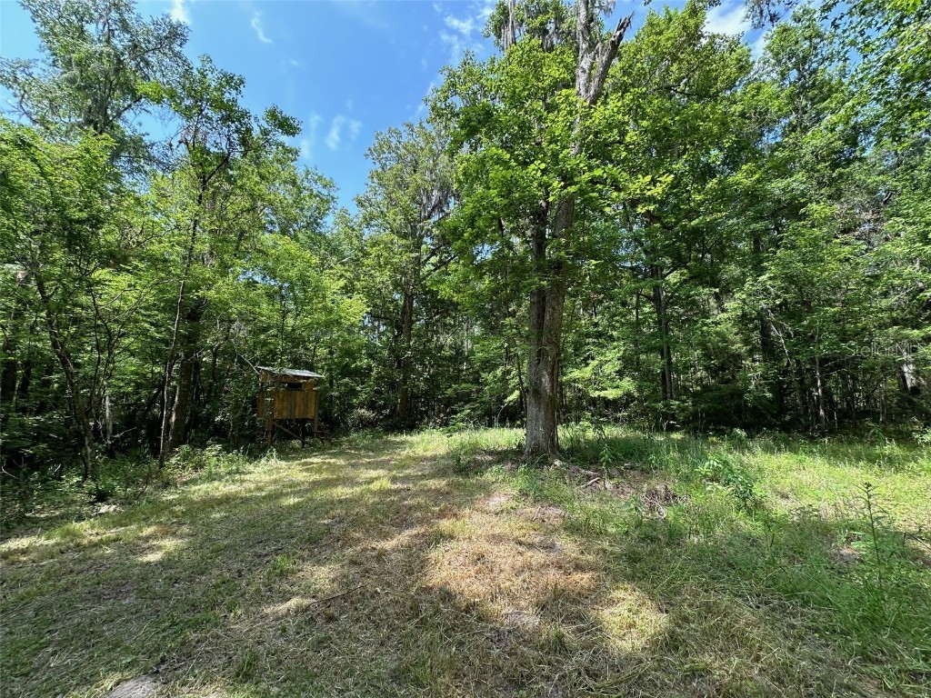 12100 NW Us Highway 441 Gainesville FL 32653 GC530646 image43