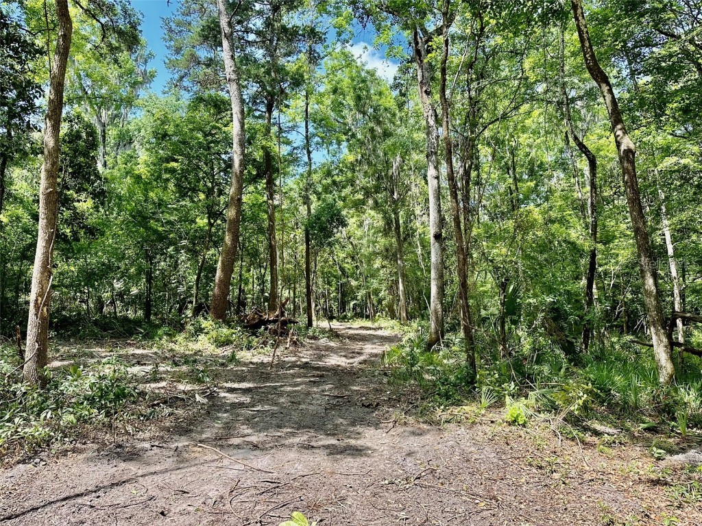 12100 NW Us Highway 441 Gainesville FL 32653 GC530704 image30
