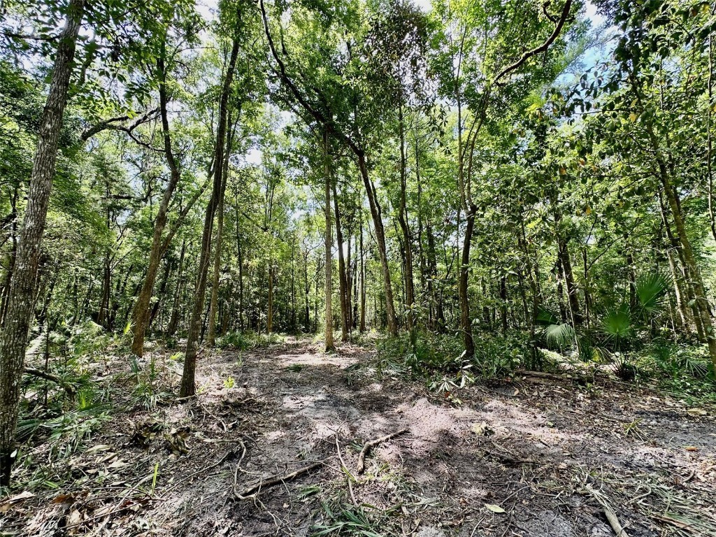 12100 NW Us Highway 441 Gainesville FL 32653 GC530704 image32