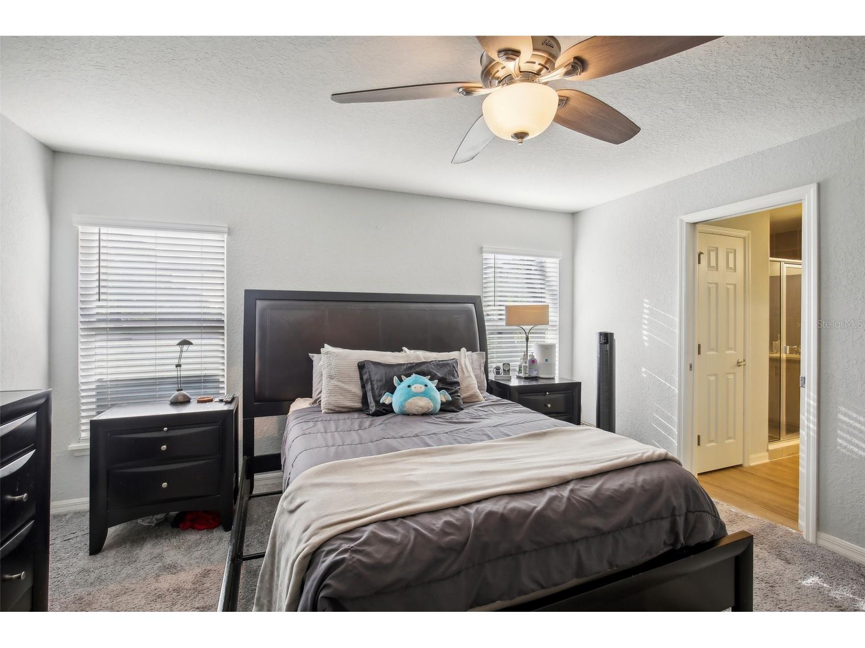 12100 Stone Pine Street Riverview FL 33569 TB8500977 image13