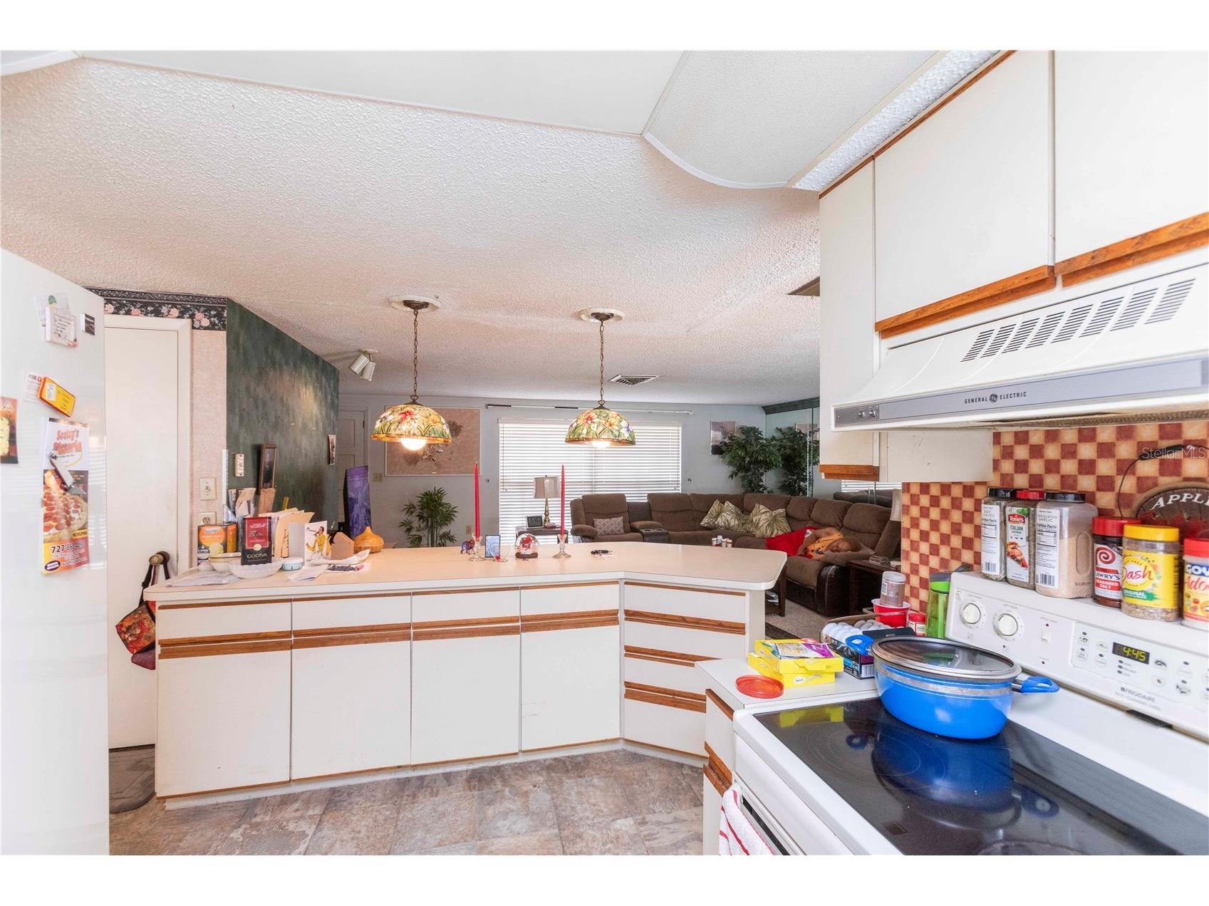 12101 Longstrap Lane Hudson FL 34667 W7886666 image10
