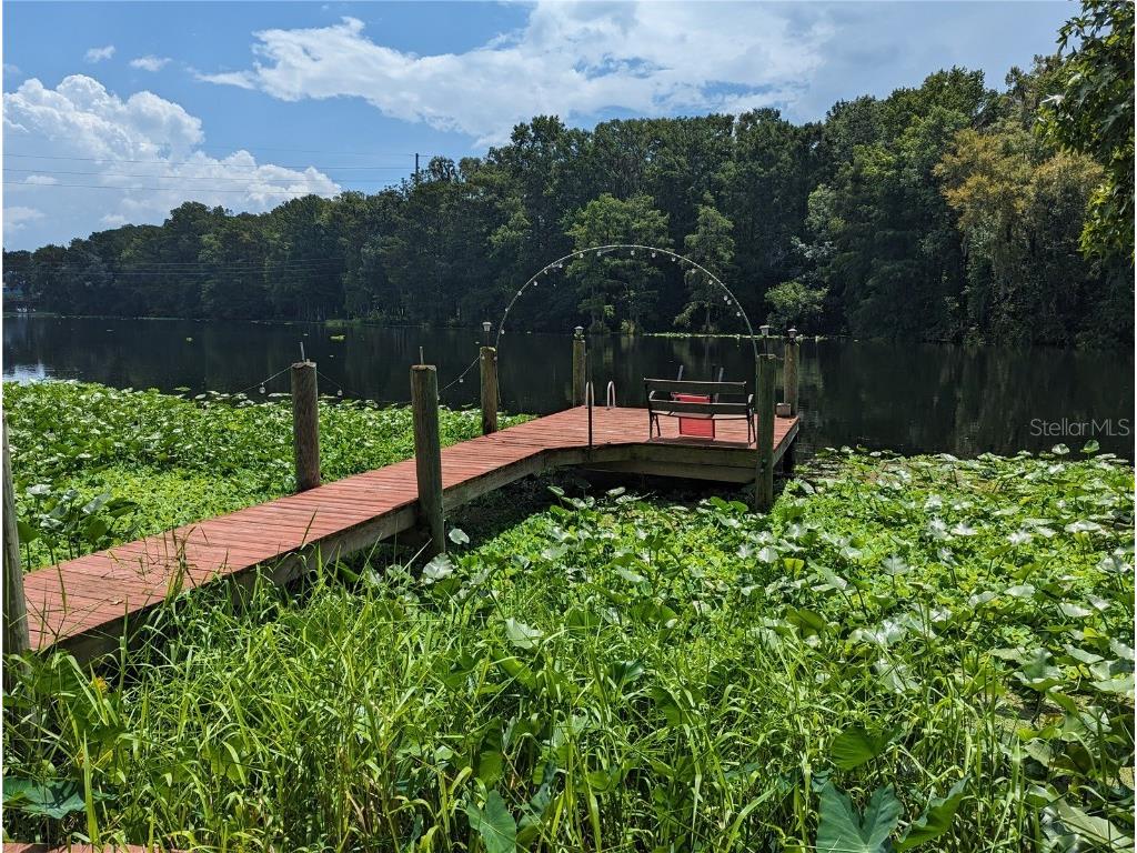 12101 River View Dunnellon FL 34432 - WITHLACOOCHEE RIVER OM662025 image1