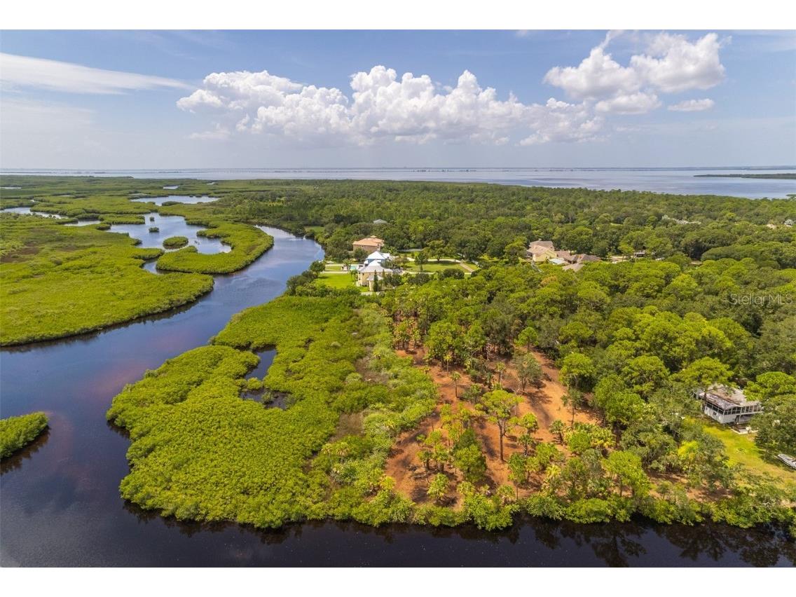 12101 State Street Tampa FL 33635 - DOUBLE BRANCH CREEK T3394700 image1