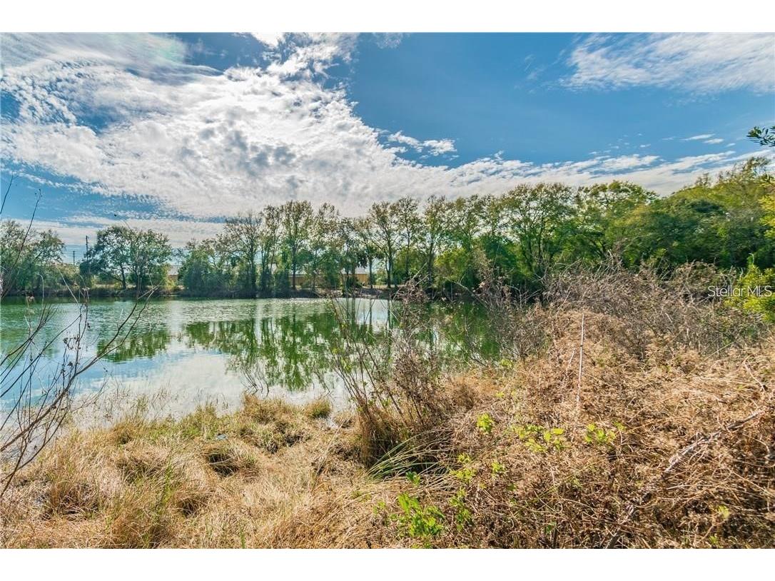 12102 Parkwood St Hudson FL 34669 TB8384556 image2