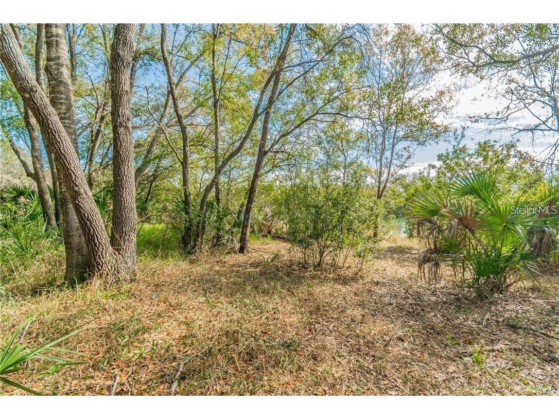 12102 Parkwood St Hudson FL 34669 TB8384556 image7