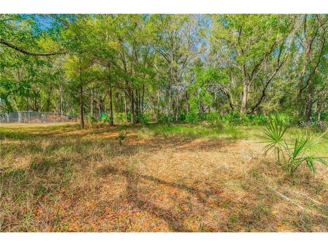 12102 Parkwood St Hudson FL 34669 TB8384556 image8