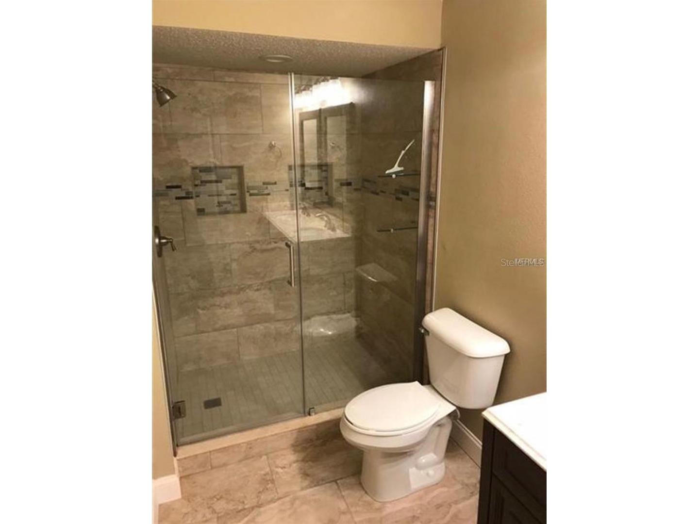 12102 Poppy Field Lane #105 Orlando FL 32837 S5150597 image39