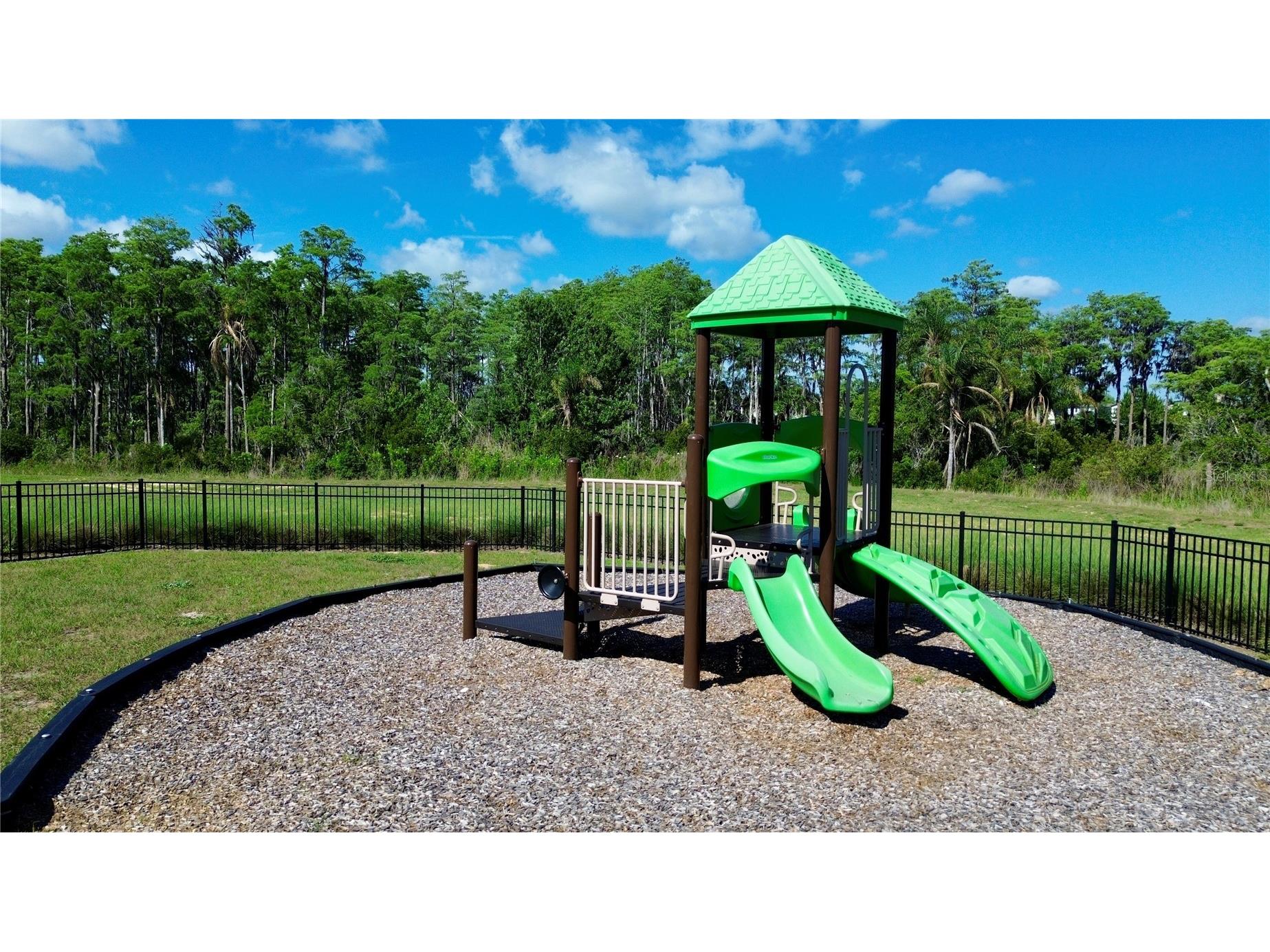 12103 Eastmoor Drive Winter Garden FL 34787 O6409071 image22