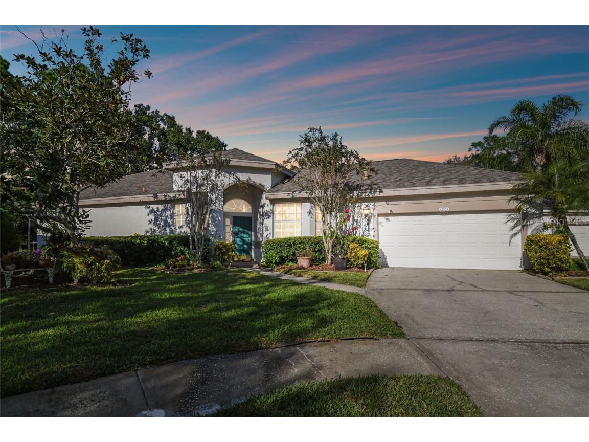 12103 Glencliff Circle Tampa FL 33626 T3483319 image1