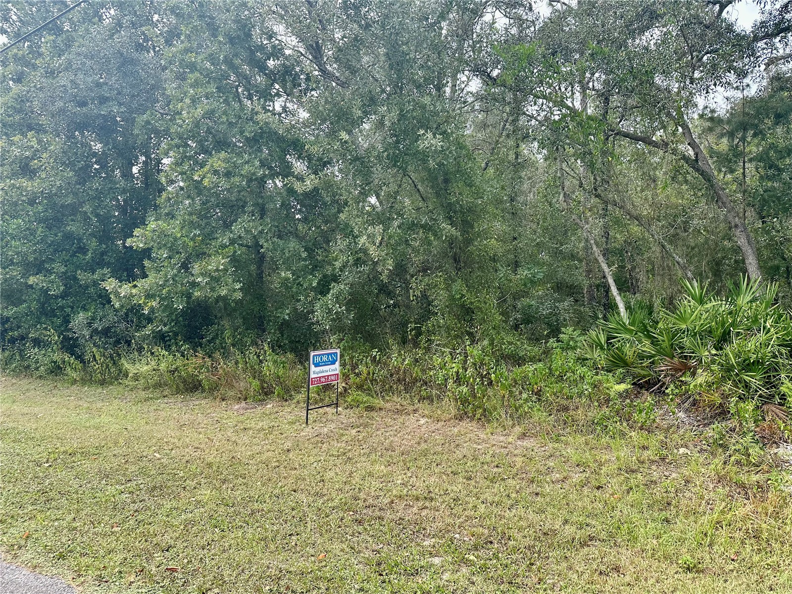 12103 Pine Club Circle Brooksville FL 34614 W7879588 image1