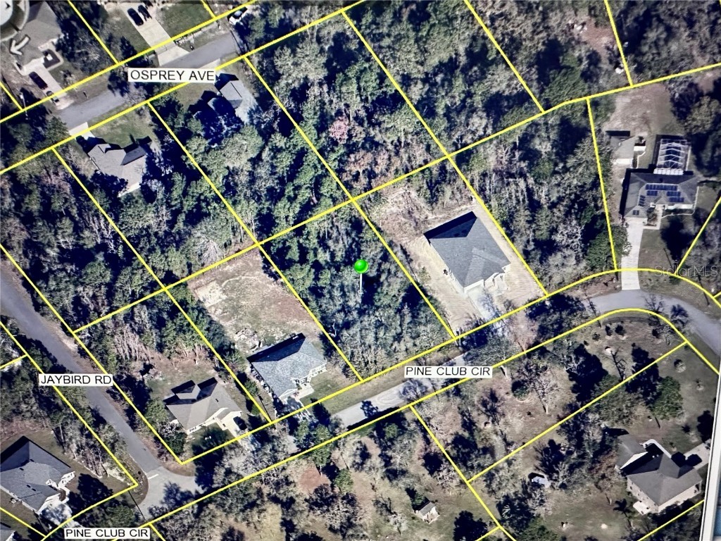 12103 Pine Club Circle Weeki Wachee FL 34614 W7879588 image4