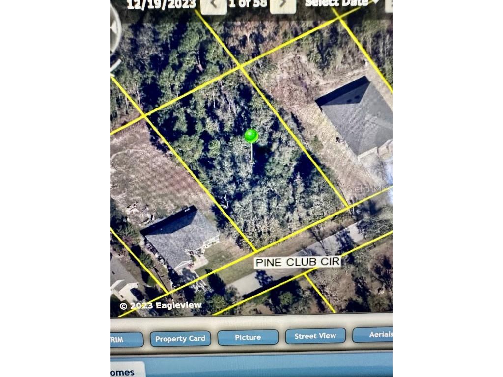 12103 Pine Club Circle Weeki Wachee FL 34614 W7879588 image5