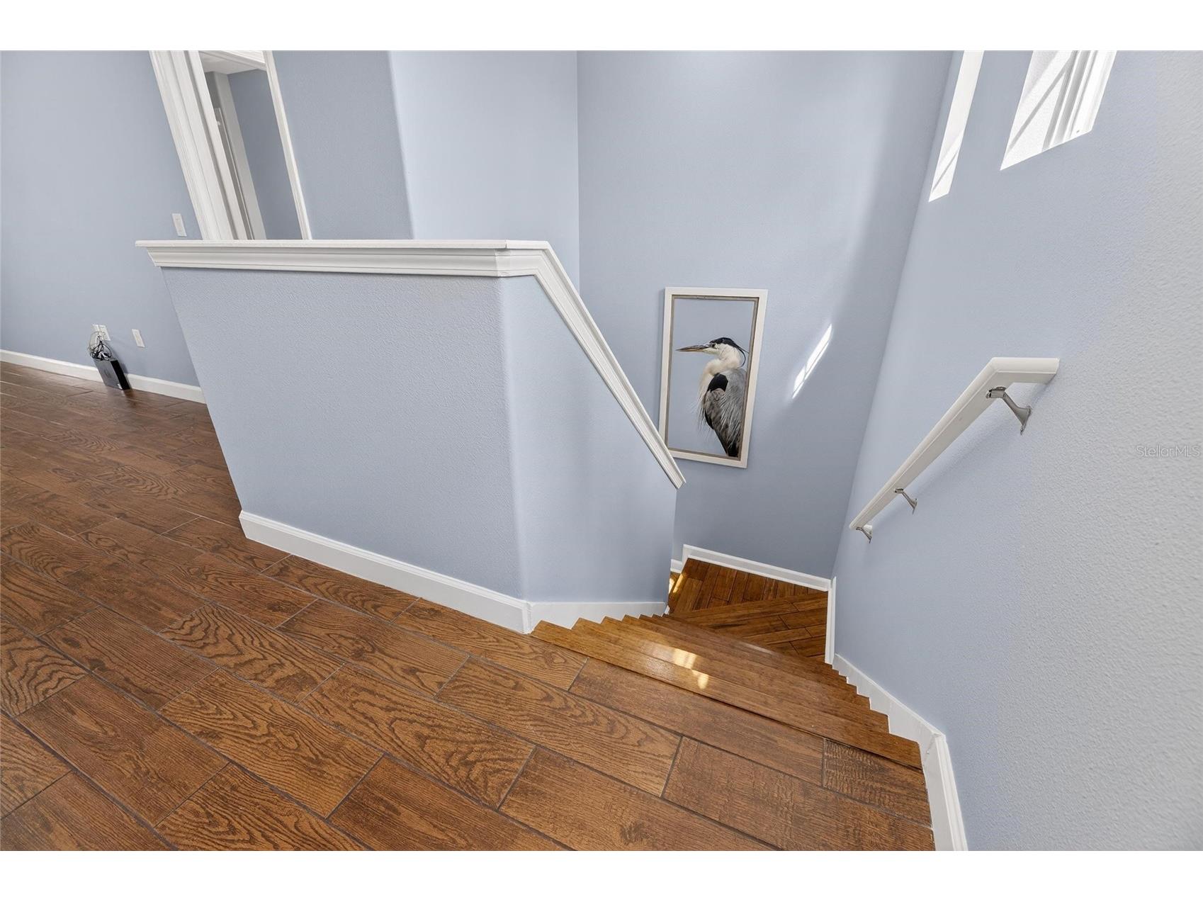 12104 Echo Basin Cove Riverview FL 33579 TB8483653 image42