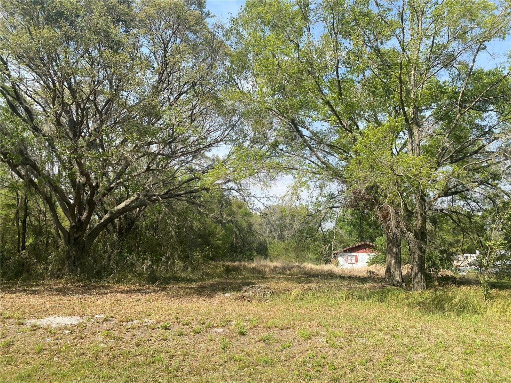 12104 Fawn Dale Drive Riverview FL 33569 T3433612 image1