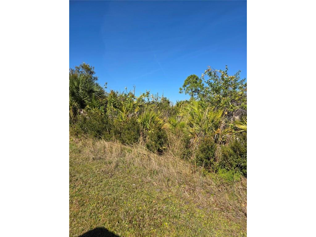 12104 Noel Avenue Port Charlotte FL 33981 C7519835 image2