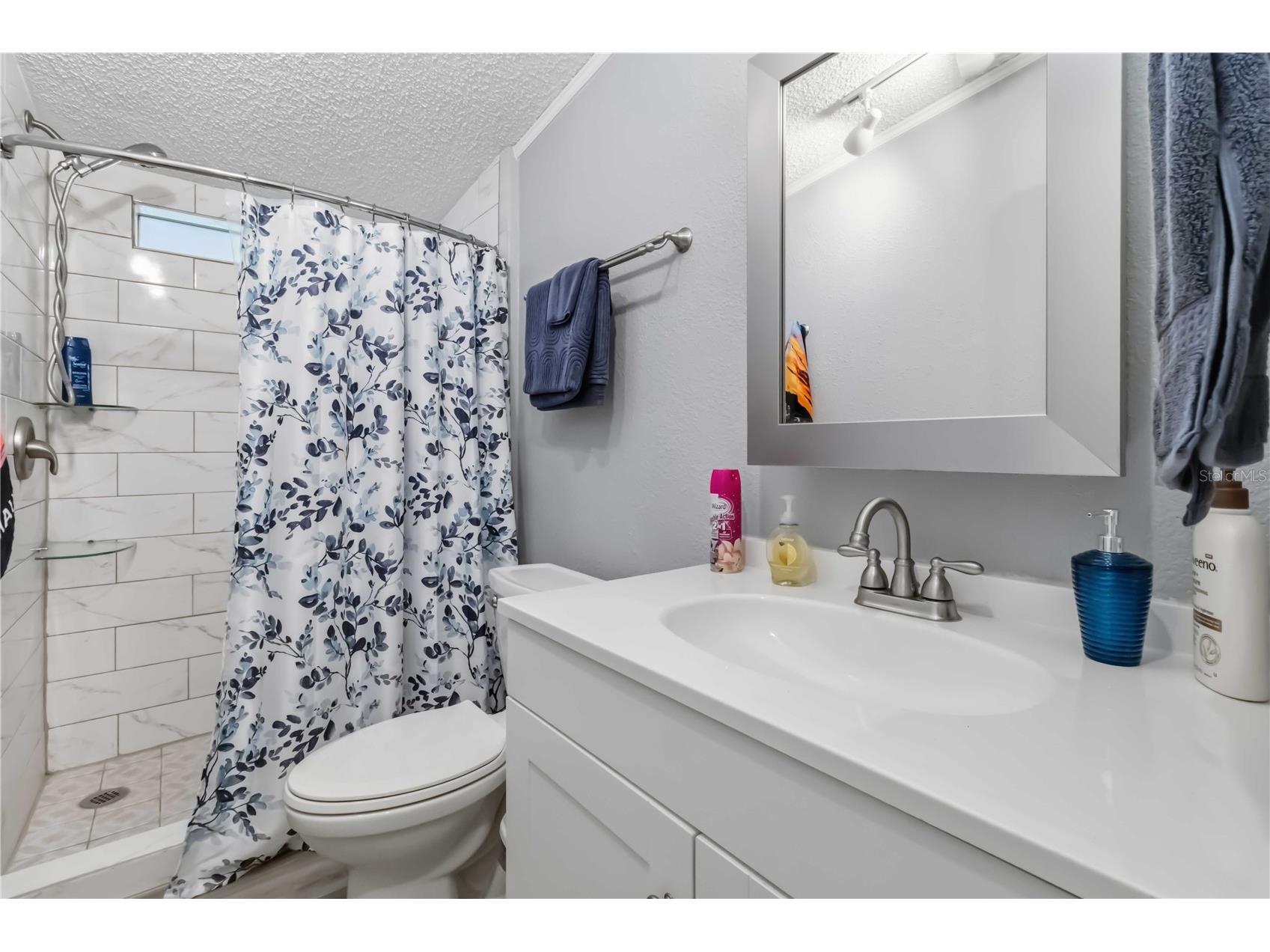12104 Woodside Drive Riverview FL 33579 TB8519727 image20
