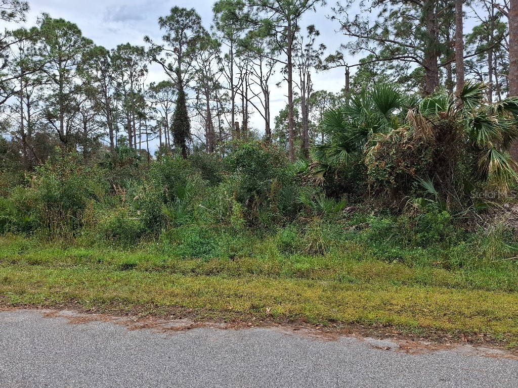 12105 Gahan Avenue Port Charlotte FL 33953 W7872895 image1