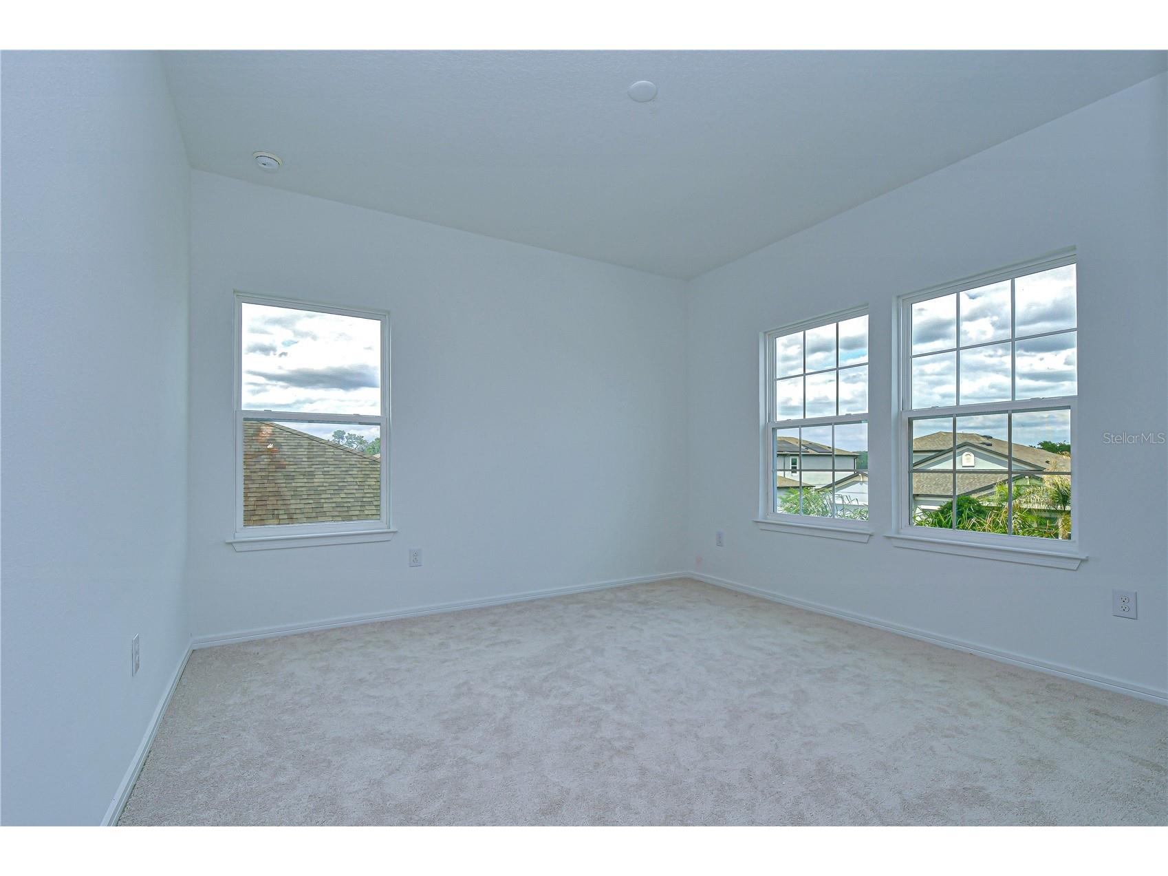 12105 Orchid Ash Street Riverview FL 33579 TB8499633 image28