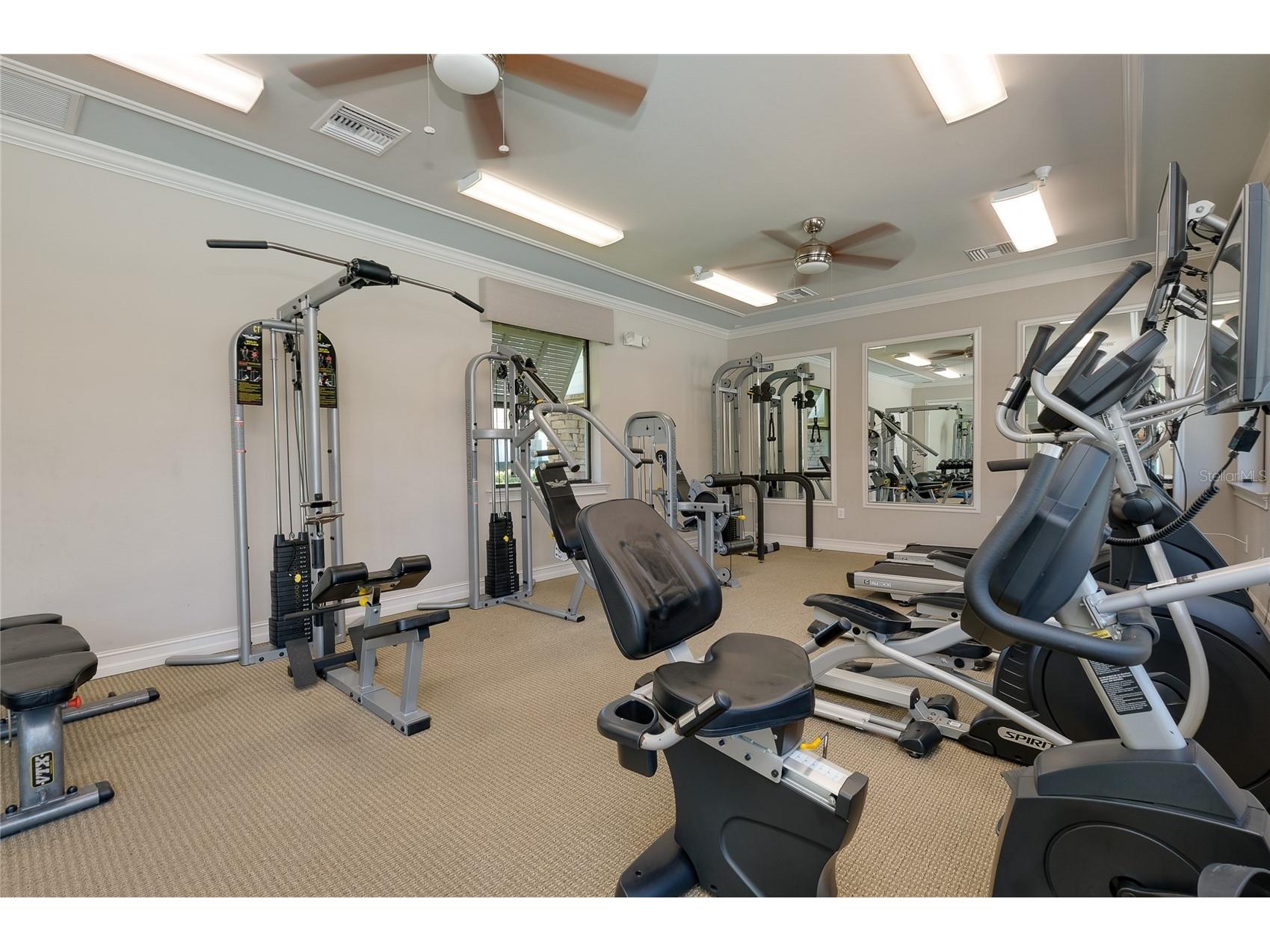 12107 Firewheel Place Venice FL 34293 N6143550 image64