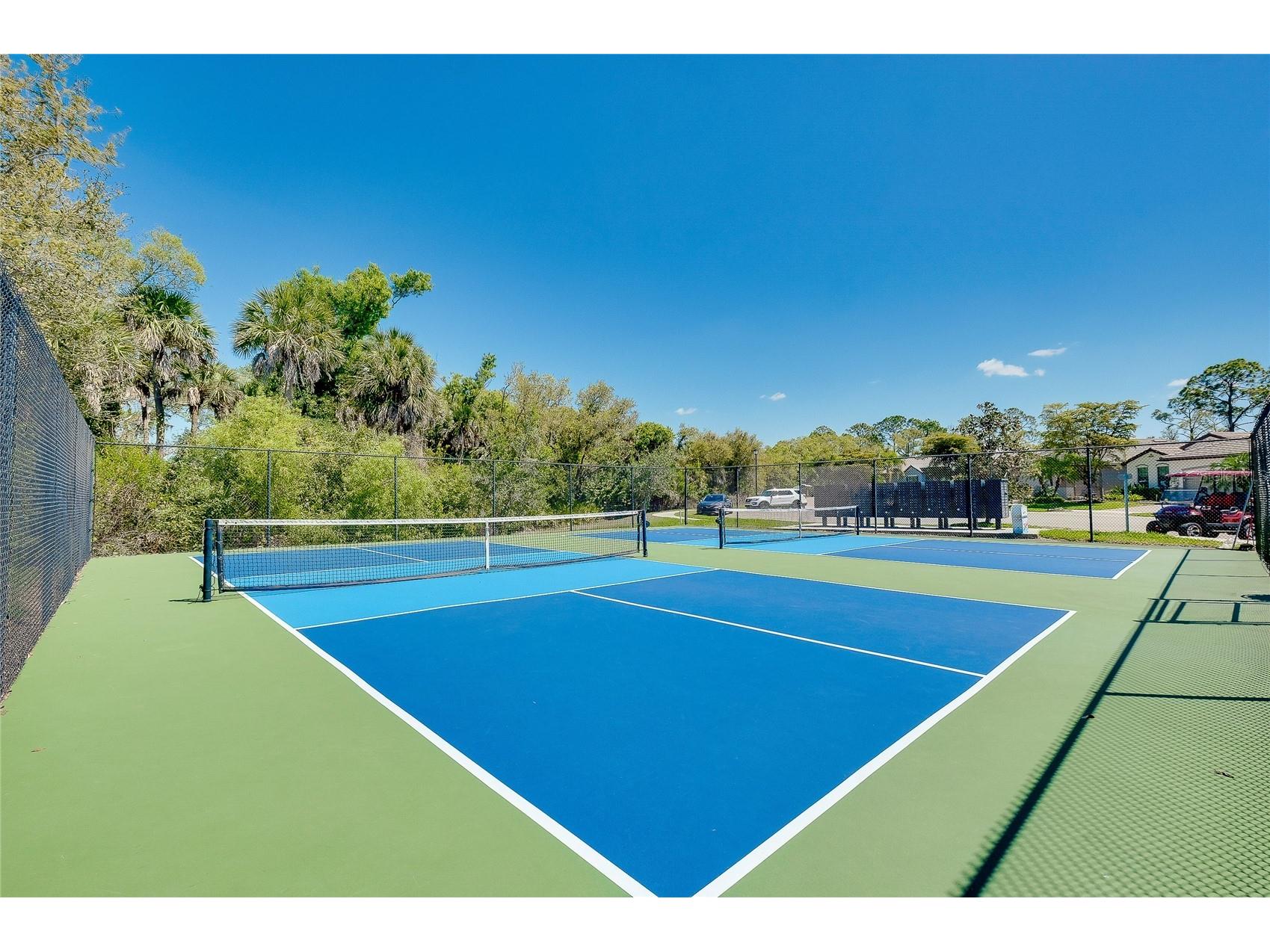 12107 Firewheel Place Venice FL 34293 N6143550 image69