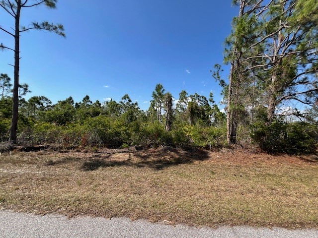 12108 Benham Avenue Port Charlotte FL 33981 O6295308 image1