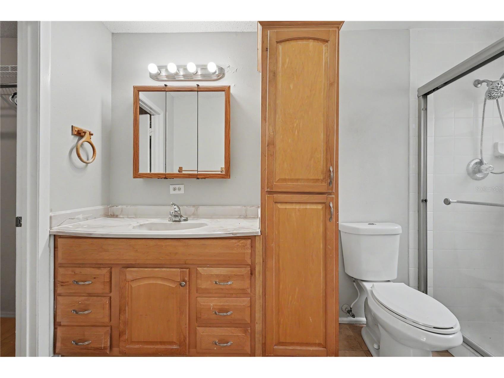 12108 Fruitwood Drive Riverview FL 33569 TB8531176 image22