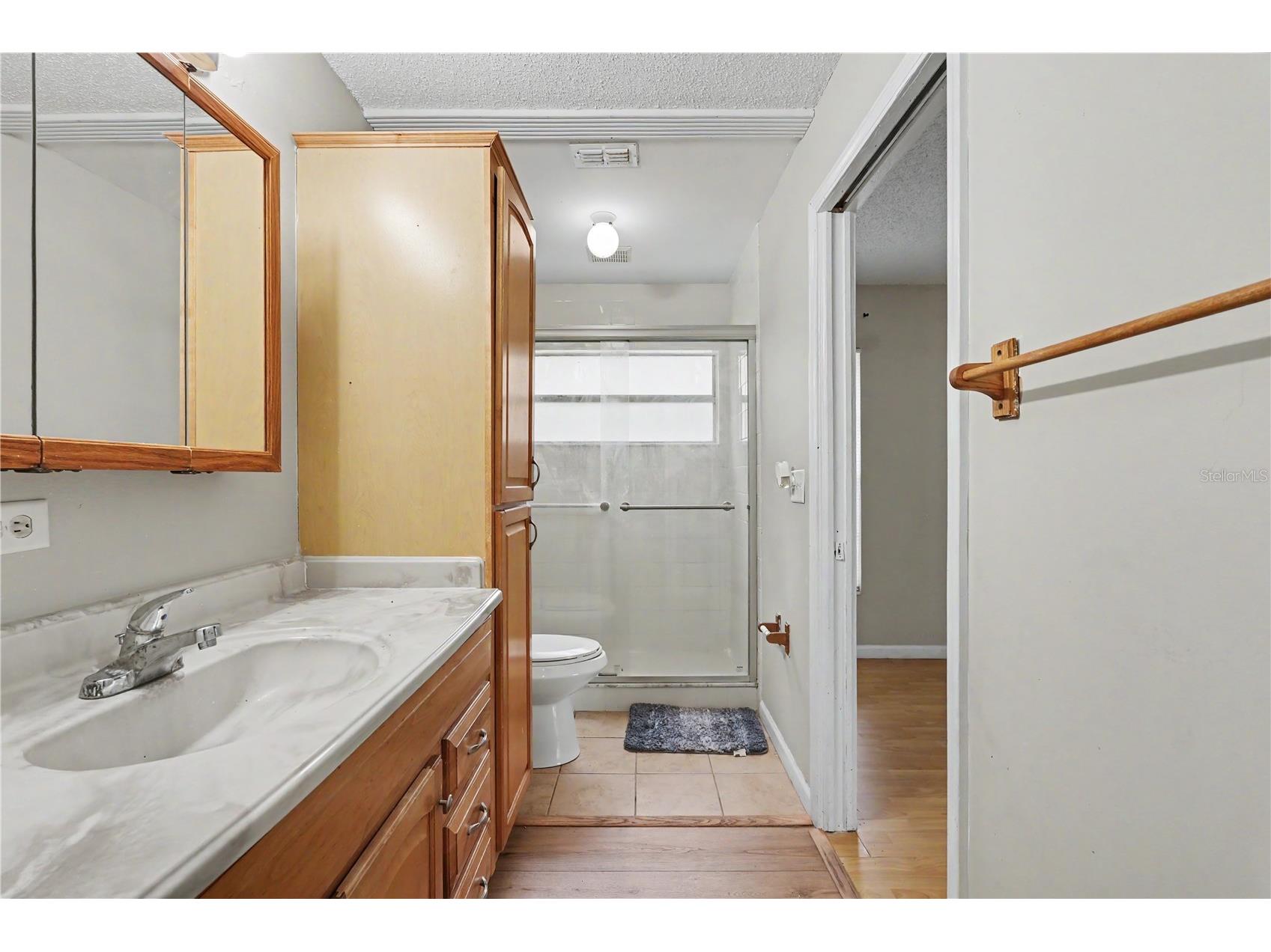 12108 Fruitwood Drive Riverview FL 33569 TB8531176 image23