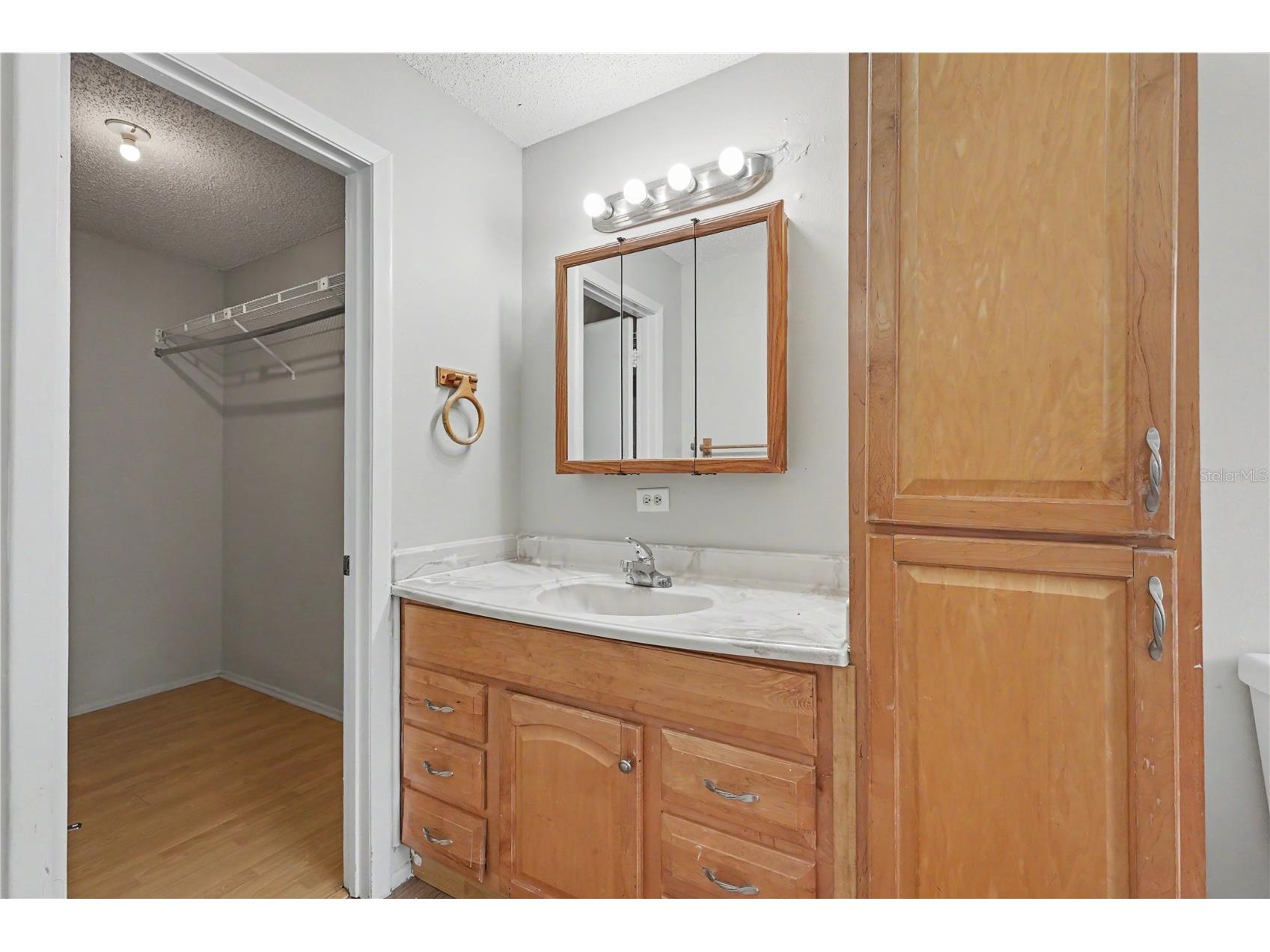 12108 Fruitwood Drive Riverview FL 33569 TB8531176 image24