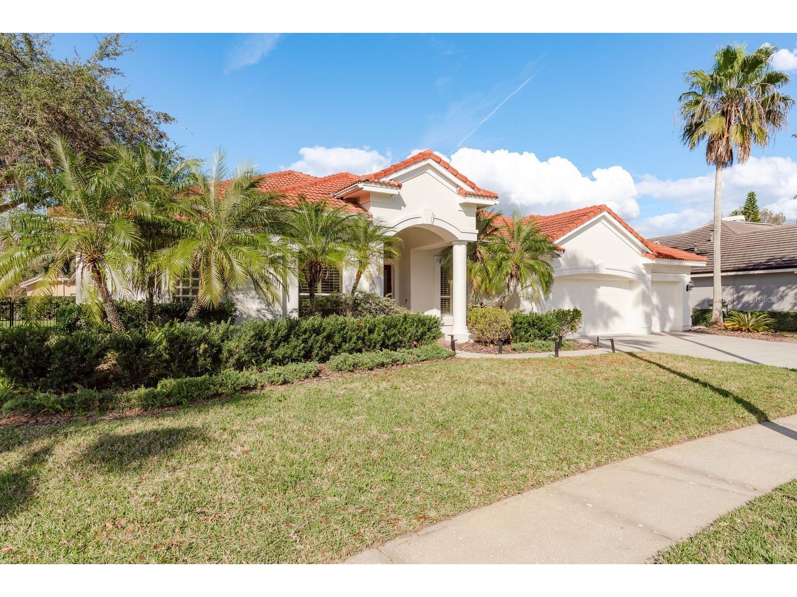 12109 Clear Harbor Drive Tampa FL 33626 TB8463159 image1