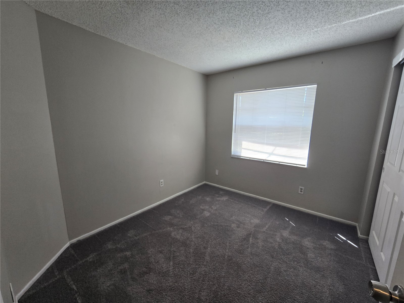 12109 Clearbrook Court Riverview FL 33569 TB8524374 image8