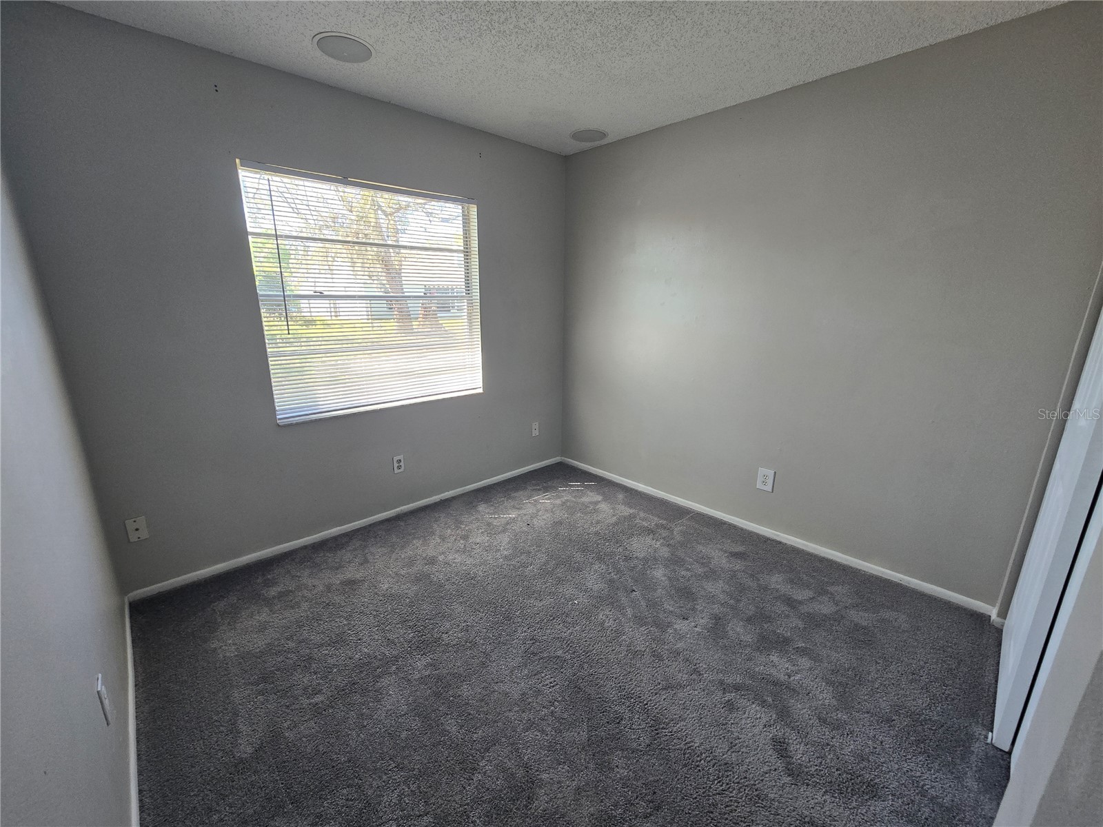 12109 Clearbrook Court Riverview FL 33569 TB8524374 image9