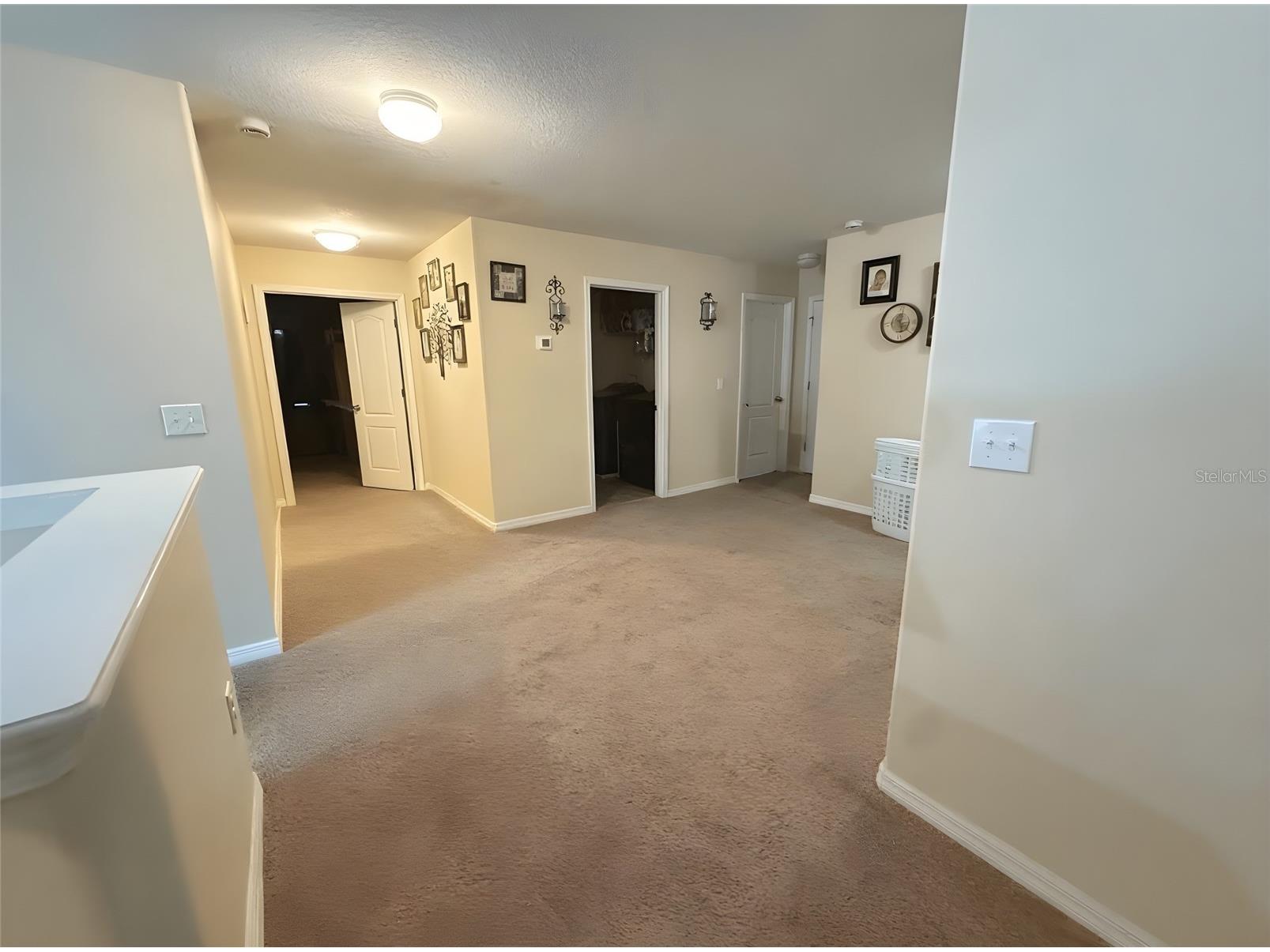12109 Echo Basin Cove Riverview FL 33579 O6411952 image24