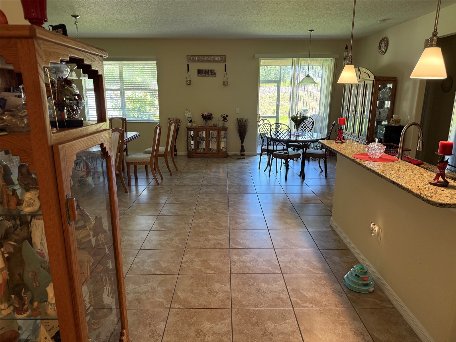 12109 Echo Basin Cove Riverview FL 33579 O6411952 image8