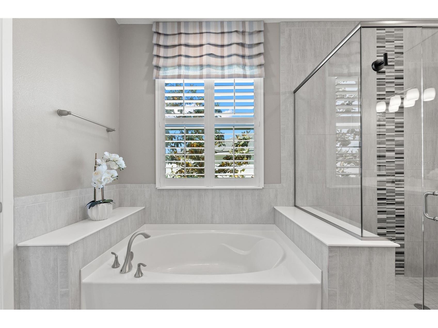12109 Night Jasmine Cove Riverview FL 33579 TB8519659 image32