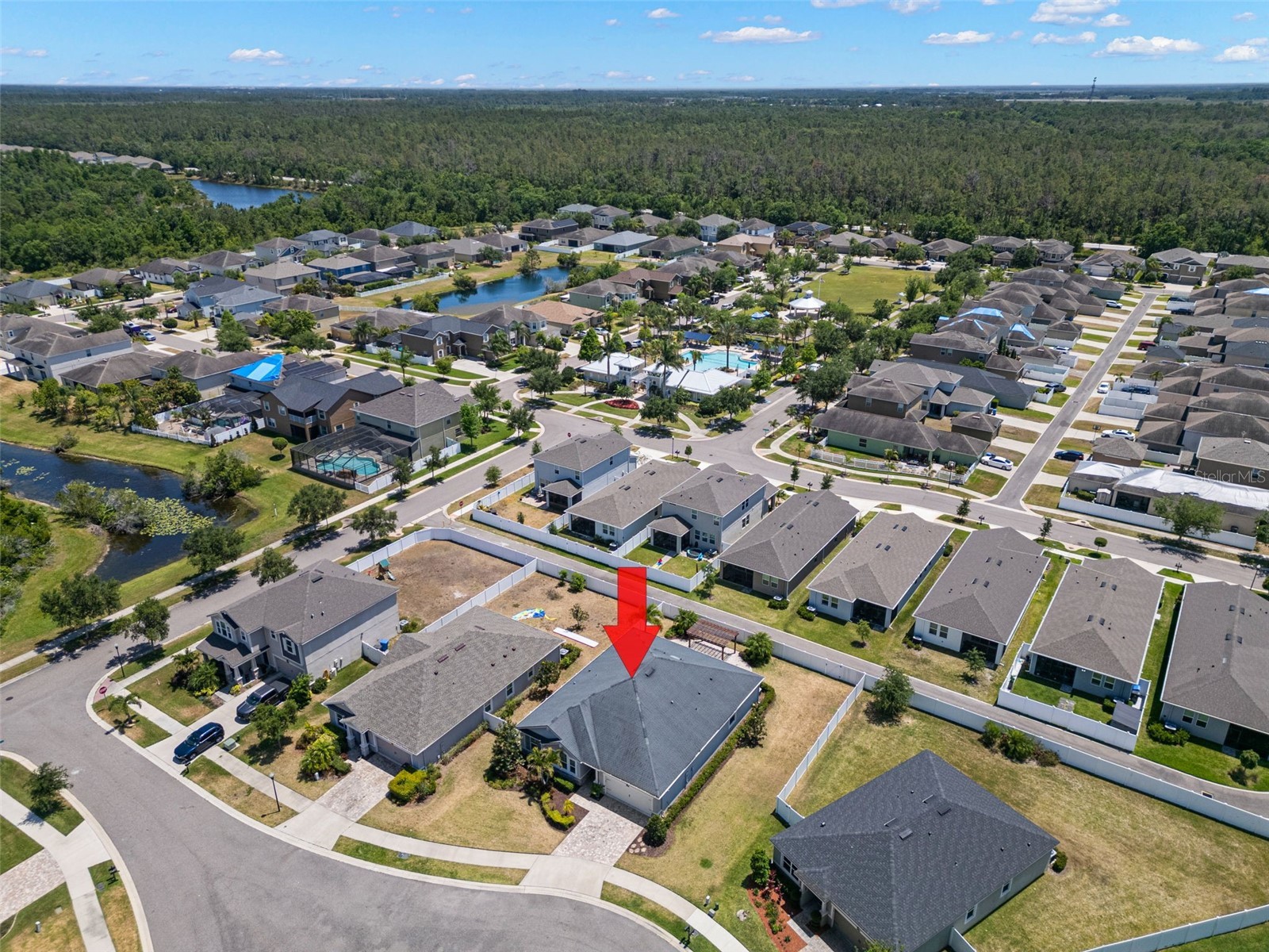 12109 Night Jasmine Cove Riverview FL 33579 TB8519659 image44