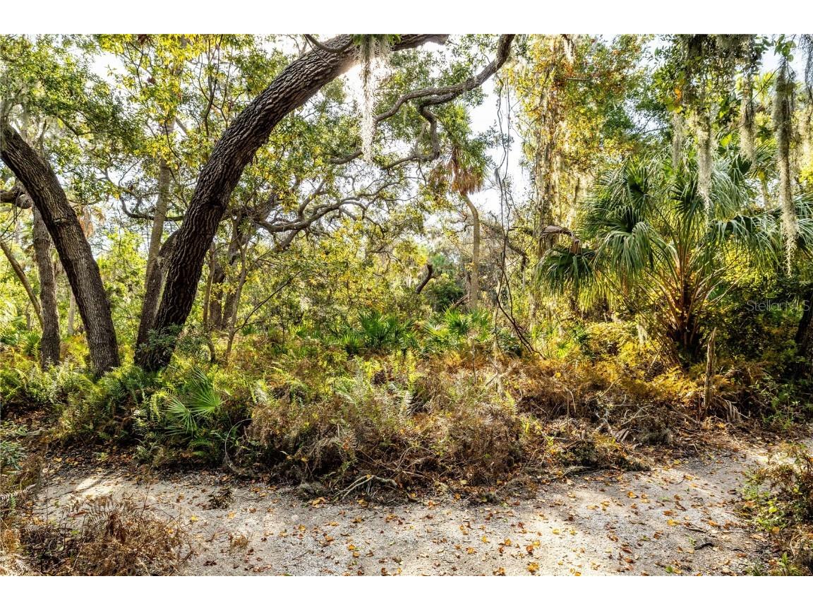 1211 64th Street NW Bradenton FL 34209 TB8380403 image44