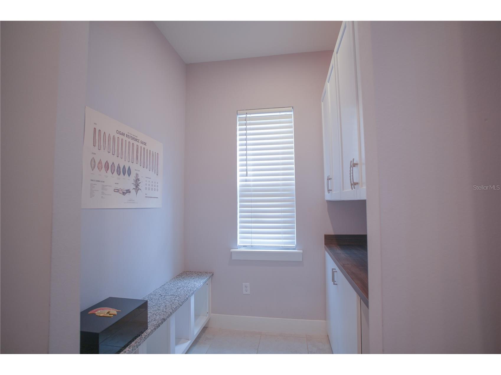 1211 Arisha Drive Kissimmee FL 34746 S5150885 image8