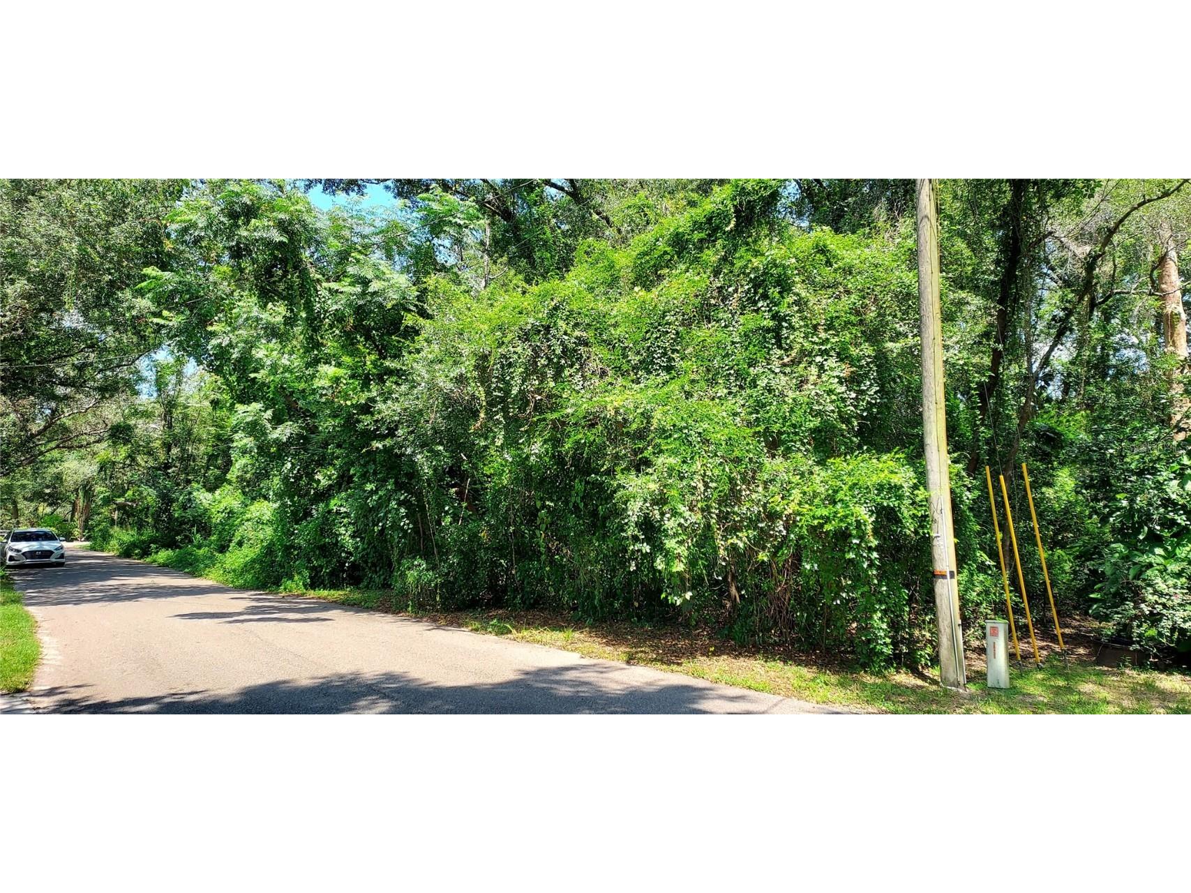 1211 Boxwood Drive Apopka FL 32703 O6130895 image1