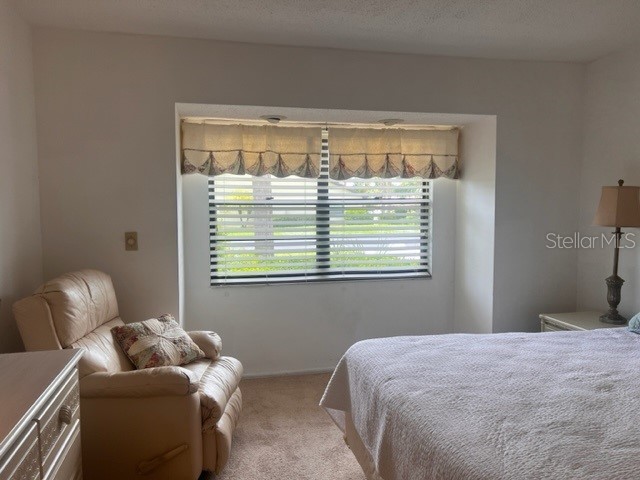 1211 Capri Isles Boulevard #55 Venice FL 34292 N6143856 image25