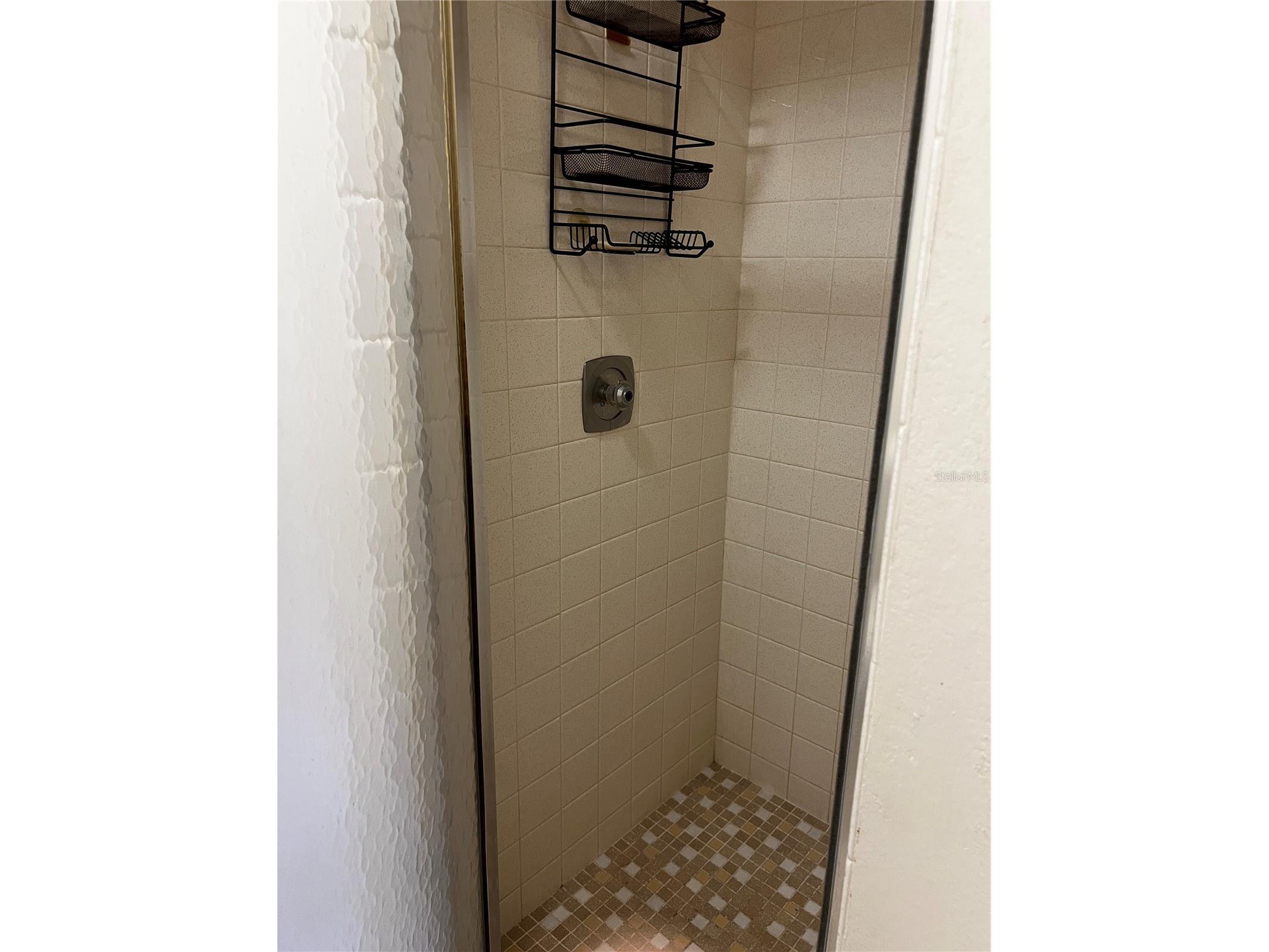 1211 Capri Isles Boulevard #55 Venice FL 34292 N6143856 image30