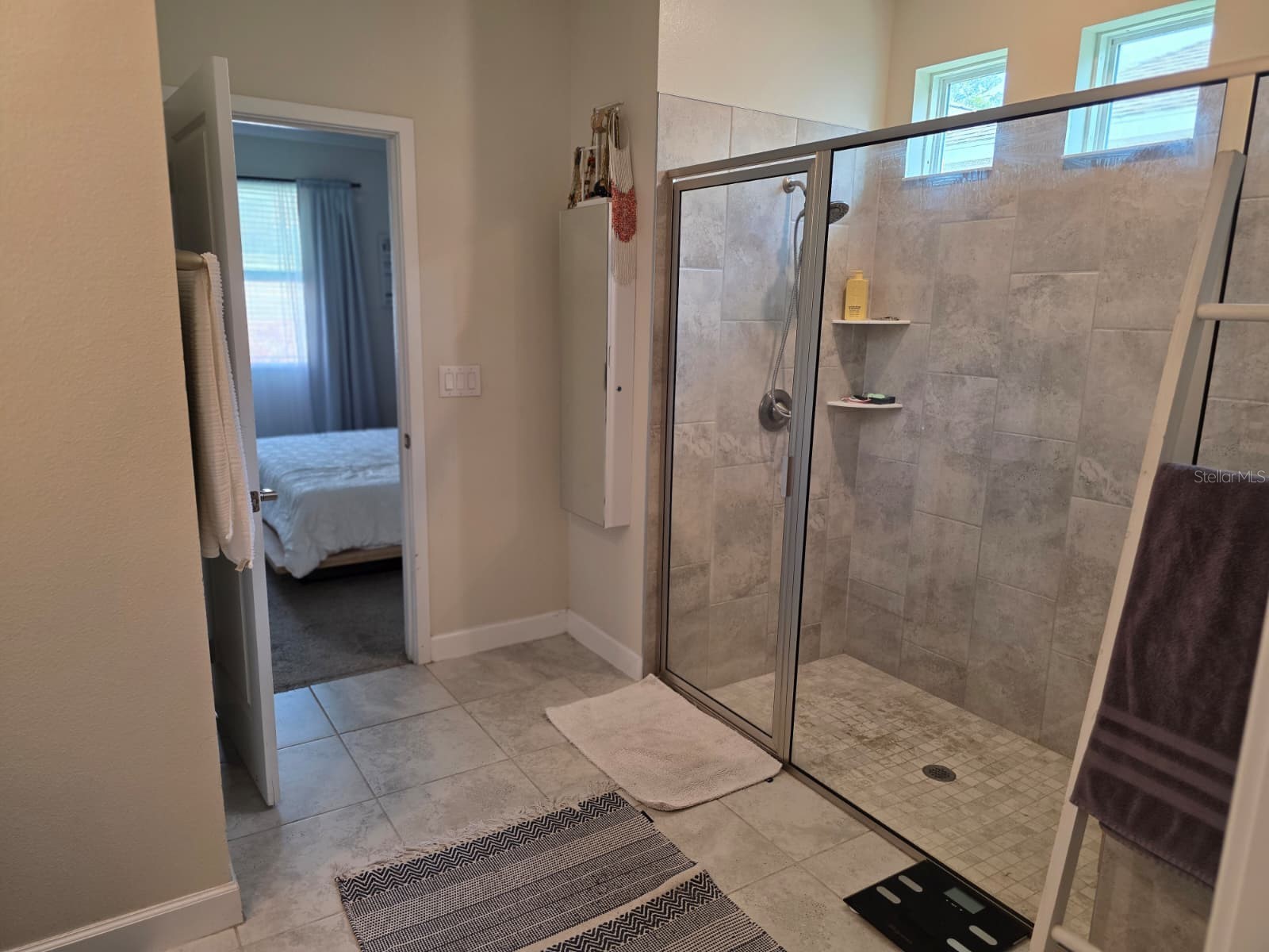 1211 Dora Parc Lane Mount Dora FL 32757 O6369236 image10